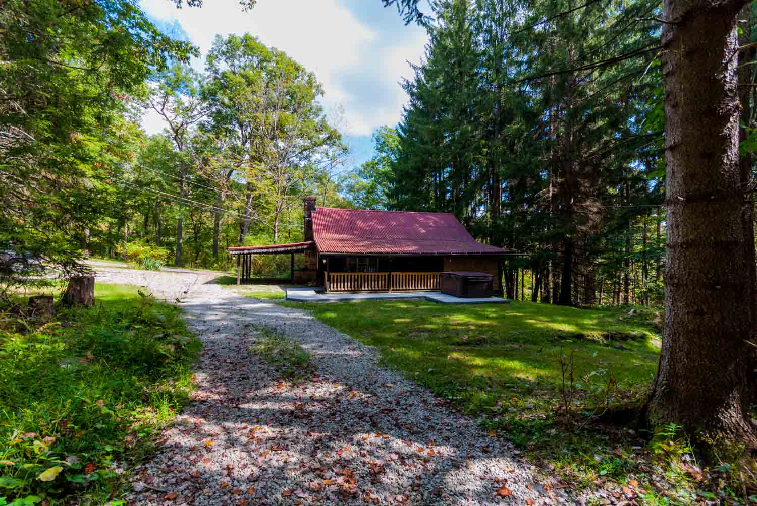 Image for Buzzard’s Cabin 17