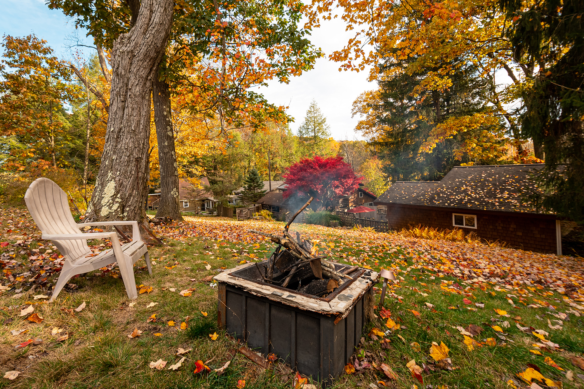 Image for Cozy Cottage 17