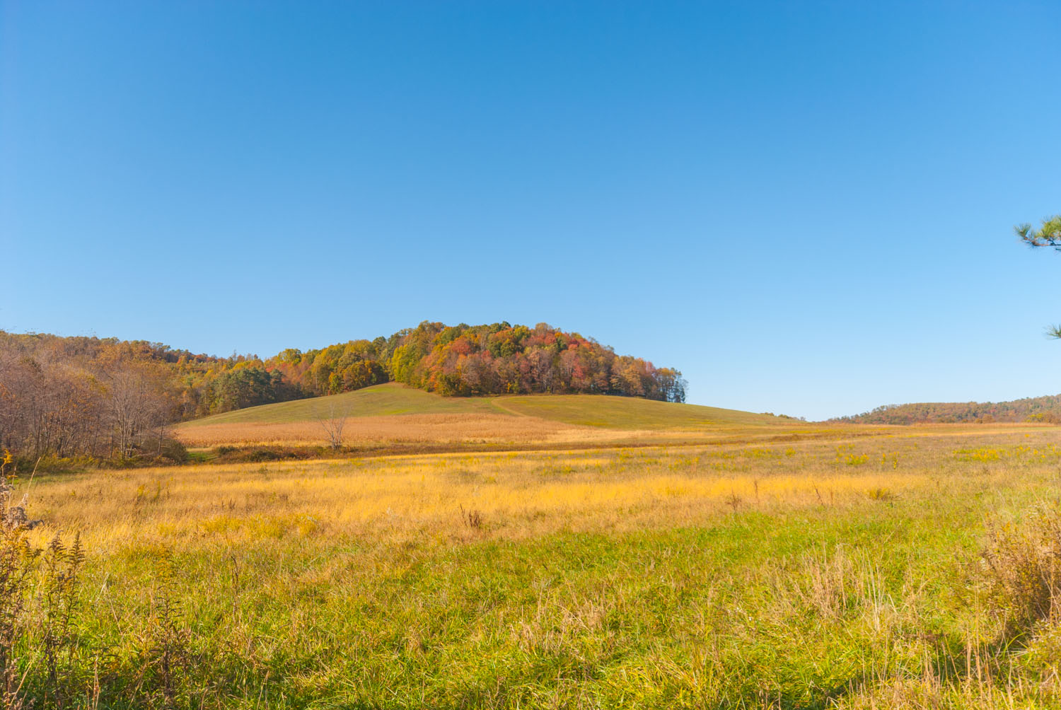 Image for Farmhouse at Fernstone Retreat 21
