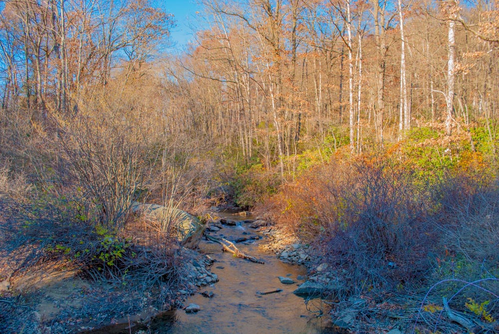 Image for Cottage on Meadow Run 14