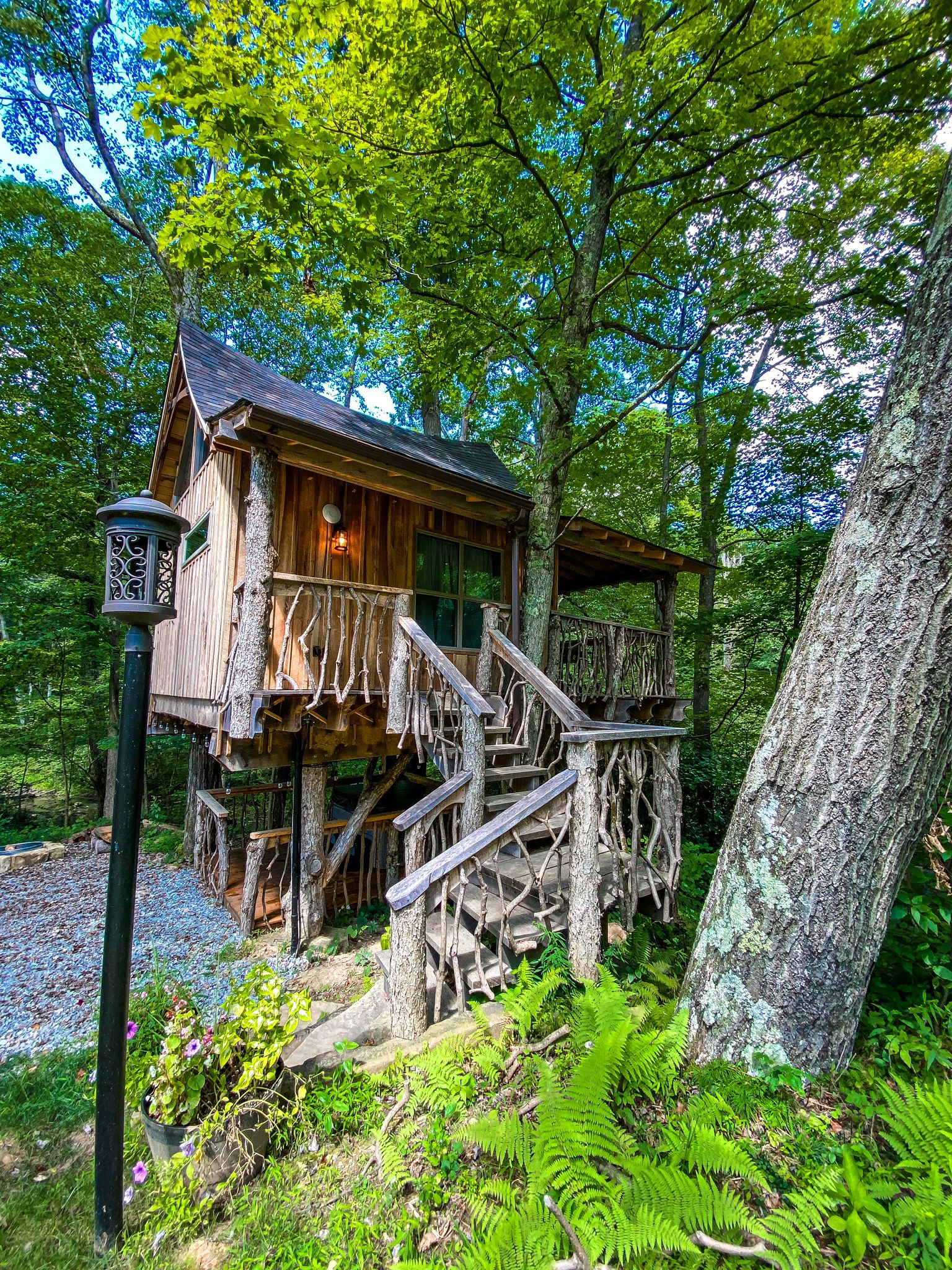 Image for Oakleaf Treehouse 1