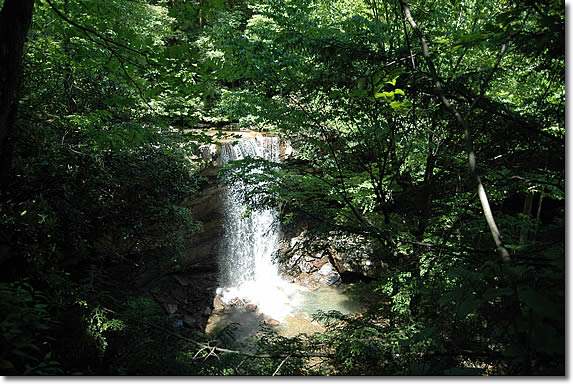 Image for Ohiopyle Suites Room 104 9
