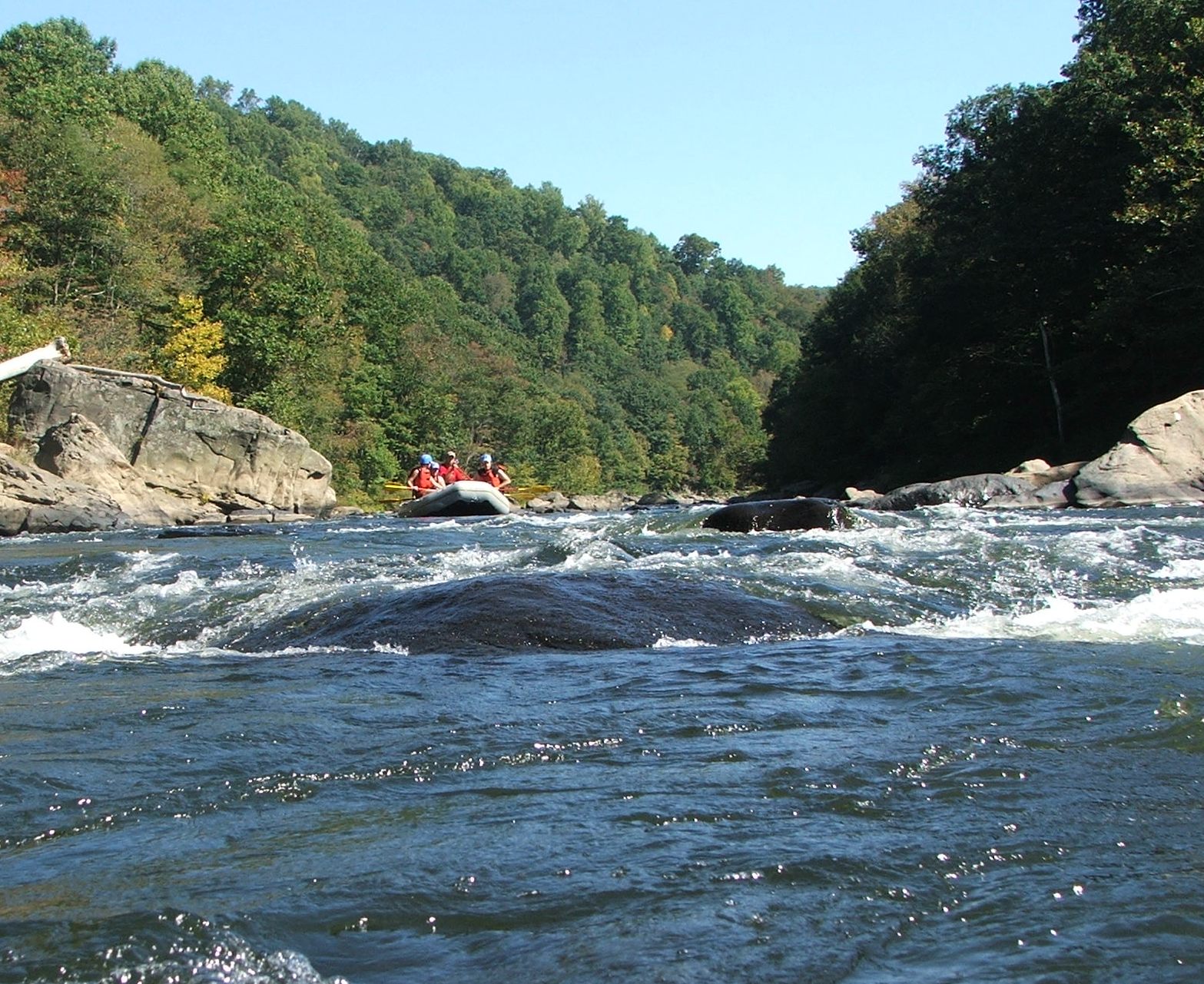 Image for Ohiopyle Suites Room 203 13