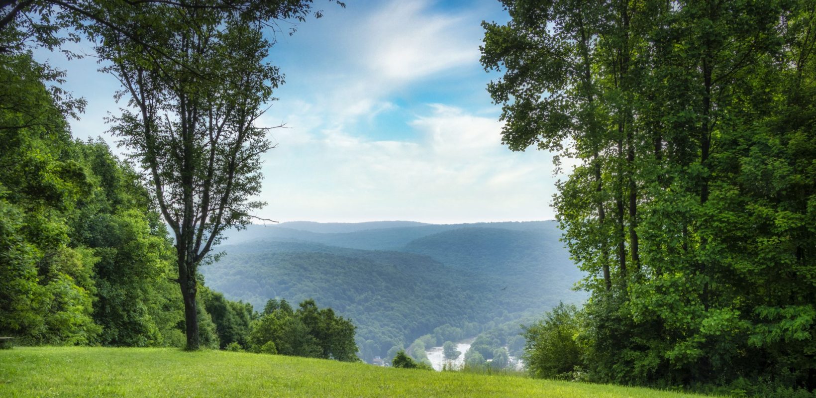 Tharp Knob Overlook Ohiopyle State Park