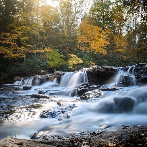 meadow run trail, ohiopyle